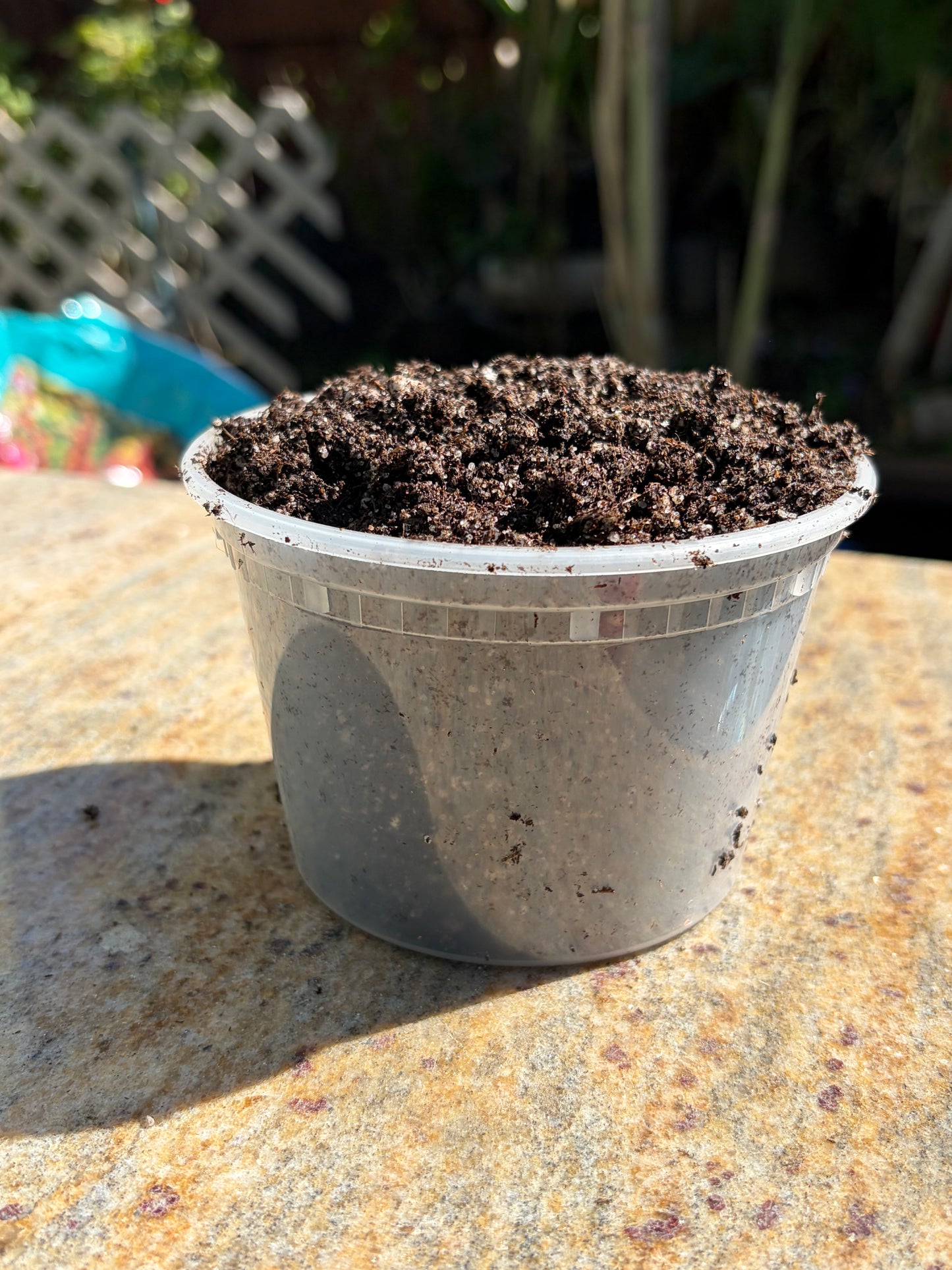 Turlock's CP soil mix: 1.5 QT
