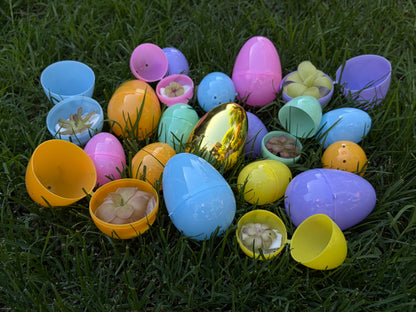 Mystery Eggs (Pinguicula)