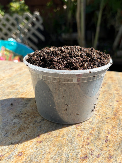 Turlock's CP soil mix: 1.5 QT